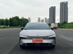 Xpeng P7 Long Range Max - ფოტო 2