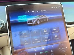 Mercedes-Benz Maybach S-Class S 480 4MATIC - ფოტო 18