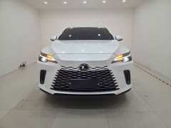 Lexus RX 300 AWD Premium Edition - ფოტო 2