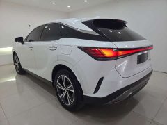 Lexus RX 300 AWD Premium Edition - ფოტო 7