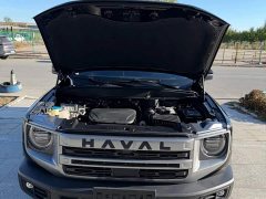 Great Wall Dachshund 2022 1.5T DCT Two-Wheel Drive Border Collie Edition - ფოტო 3