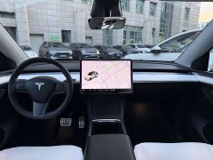 Tesla Model Y Long Range All-Wheel Drive - ფოტო 13