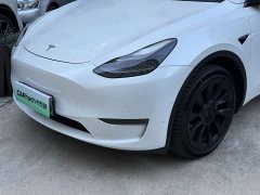 Tesla Model Y Long Range All-Wheel Drive - ფოტო 5
