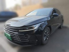 BYD Destroyer 05 Glory Edition DM-i 55KM Luxury - ფოტო 1