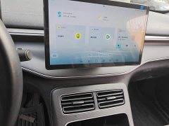 BYD Destroyer 05 Glory Edition DM-i 55KM Luxury - ფოტო 14