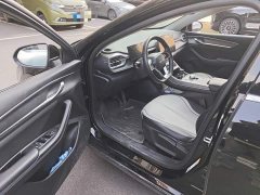BYD Destroyer 05 Glory Edition DM-i 55KM Luxury - ფოტო 17