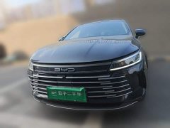 BYD Destroyer 05 Glory Edition DM-i 55KM Luxury - ფოტო 2
