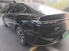 BYD Destroyer 05 Glory Edition DM-i 55KM Luxury - ფოტო 4