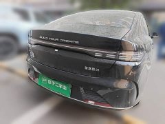 BYD Destroyer 05 Glory Edition DM-i 55KM Luxury - ფოტო 5