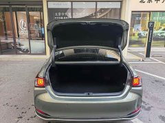 Lexus ES 300h Excellence - ფოტო 13