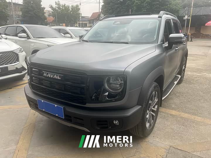 Great Wall Dachshund 1.5T DCT Border Collie Edition