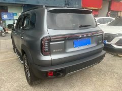 Great Wall Dachshund 1.5T DCT Border Collie Edition - ფოტო 6