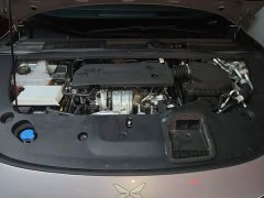 XPeng P7 Extended Range 1550 Max Flagship - ფოტო 10