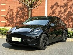 Tesla Model Y Rear-Wheel Drive - ფოტო 1