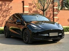 Tesla Model Y Rear-Wheel Drive - ფოტო 3