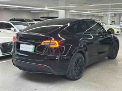 Tesla Model Y Rear-Wheel Drive - ფოტო 7