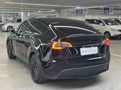 Tesla Model Y Rear-Wheel Drive - ფოტო 9