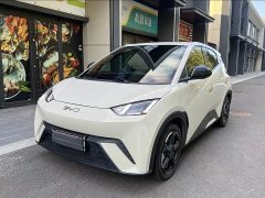 BYD Seagull Smart Driving Edition 305km Freedom Edition - ფოტო 1