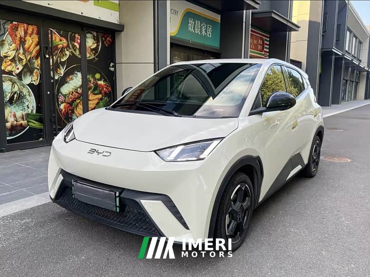 BYD Seagull Smart Driving Edition 305km Freedom Edition
