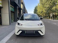 BYD Seagull Smart Driving Edition 305km Freedom Edition - ფოტო 2
