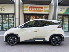 BYD Seagull Smart Driving Edition 305km Freedom Edition - ფოტო 3