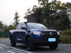 Aion Poer 2021 2.0T Off-Road Edition Automatic Petrol 4WD Mount Everest Edition GW4C20B - ფოტო 3