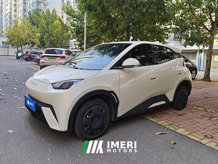 BYD Seagull 305km Vitality Edition