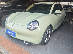 ORA Good Cat 501km Long Range Prestigious Edition Lithium iron phosphate - ფოტო 1