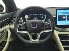 BYD Song Plus New Energy 2021 DM-i 51KM Premium Edition - ფოტო 11
