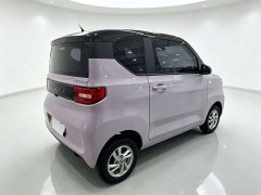 Wuling Hongguang MINIEV 2020 Zizai Edition LFP Battery - ფოტო 9
