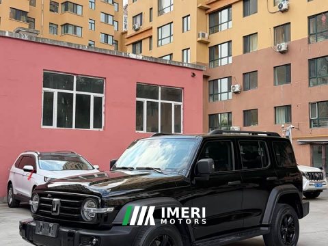2024 Tank 300 2.0T Challenger - ავტომობილი ჩინეთიდან
