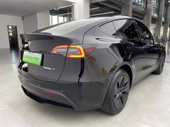 Tesla Model Y Rear-Wheel Drive - ფოტო 12