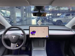 Tesla Model Y Rear-Wheel Drive - ფოტო 14