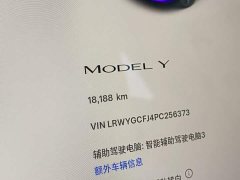 Tesla Model Y Rear-Wheel Drive - ფოტო 16