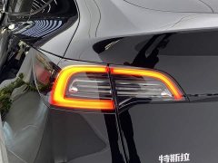 Tesla Model Y Rear-Wheel Drive - ფოტო 7