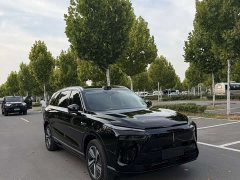 Great Wall WEY Blue Mountain Four-Wheel Drive Max - ფოტო 2