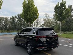 Great Wall WEY Blue Mountain Four-Wheel Drive Max - ფოტო 7