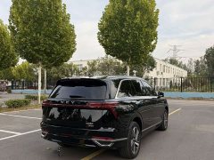 Great Wall WEY Blue Mountain Four-Wheel Drive Max - ფოტო 8