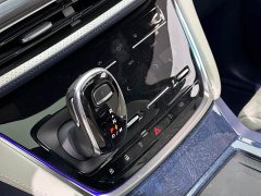 Buick GL8 ES Luxe Comfort - ფოტო 14
