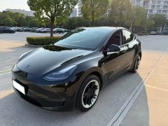 Tesla Model Y Long Range All-Wheel Drive - ფოტო 1
