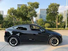 Tesla Model Y Long Range All-Wheel Drive - ფოტო 3