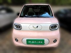 Wuling Hongguang MINIEV 2024 Third Generation 215km Youth Edition - ფოტო 3