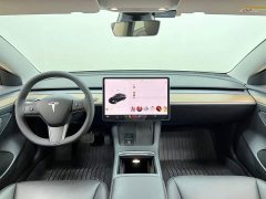 Tesla Model 3 Standard Range RWD Upgrade - ფოტო 13