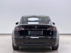 Tesla Model 3 Standard Range RWD Upgrade - ფოტო 8