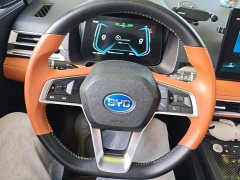 BYD e2 Luxury - ფოტო 14