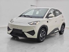 BYD Seagull Smart Driving Edition 305km Freedom Edition - ფოტო 1