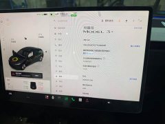 Tesla Model 3 Long Range Rear-Wheel Drive - ფოტო 7