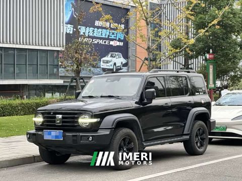 2022 Tank 300 2021 Off-Road Edition 2.0T Challenger - ავტომობილი ჩინეთიდან
