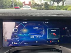 Tank 300 2021 Off-Road Edition 2.0T Challenger - ფოტო 6