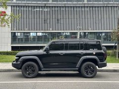 Tank 300 2021 Off-Road Edition 2.0T Challenger - ფოტო 8